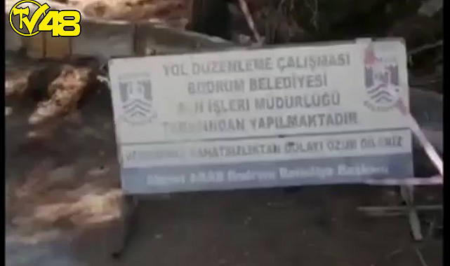 Bodrum &#039;&#039;Yol&#039;&#039; için Ağaçları Katlediyor Mu ?