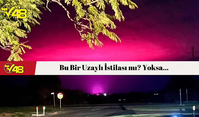 Bu Bir Uzaylı İstilası mı? Yoksa...