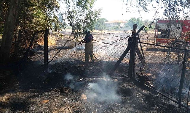 Burhaniye&#039;de ot yangını korkuttu