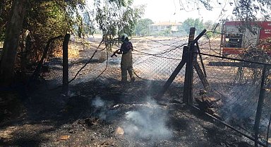 Burhaniye'de ot yangını korkuttu