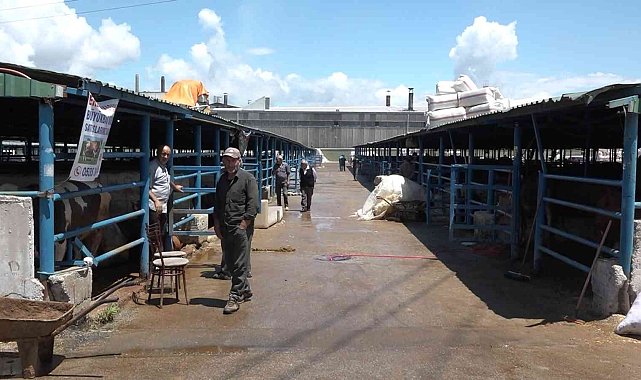 Bursa&#039;da vatandaşlar kurbanlık alımı için son günü bekliyor