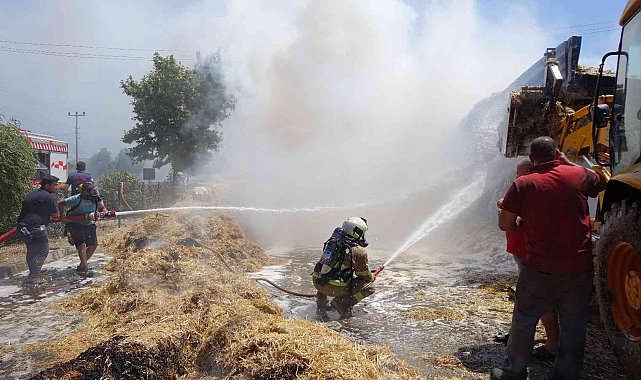 Çanakkale&#039;de 20 ton saman küle döndü