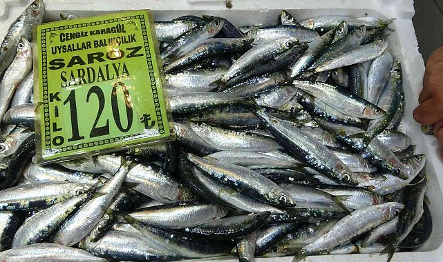 Çanakkale&#039;de sardalyanın kilosu 120 lira oldu