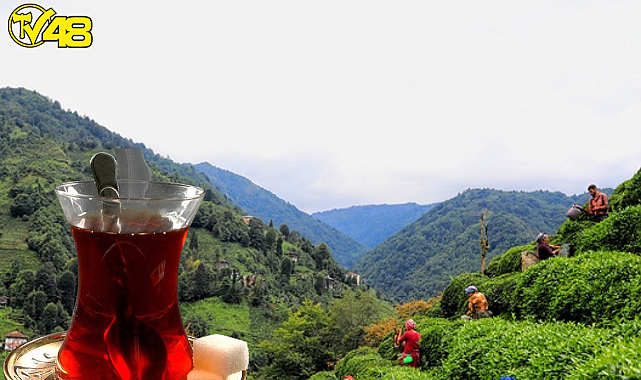 Çay fiyatlarına bir zam daha geldi