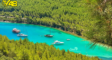 Cennet Koyu Cehenneme Mi Dönüşecek ?