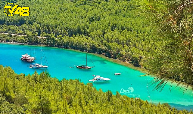 Cennet Koyu Cehenneme Mi Dönüşecek ?