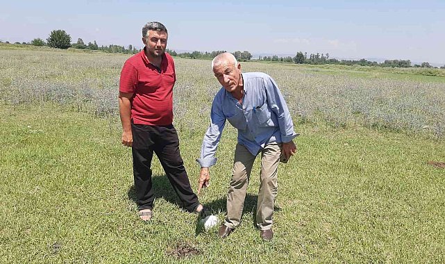 Ceyhan&#039;daki kuyu ile aynı yıl kapatılan Kadirli&#039;de petrol heyecanı