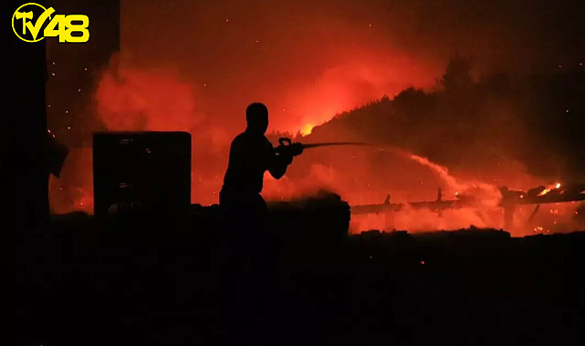 Datça’daki Orman Yangını Kontrol Altına Alındı