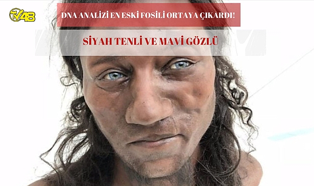DNA Analizleri İngiltere’de Bulunan En Eski Fosilin Siyah Tenli ve Mavi Gözlü Olduğunu Ortaya Koydu!