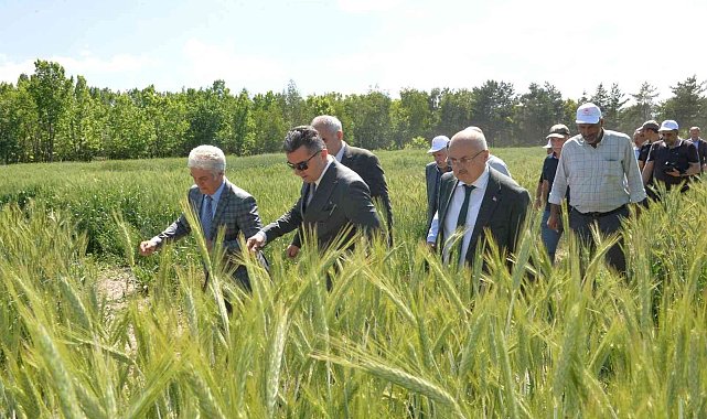 Erzurum&#039;da 3 bin 800 svat törenle çiftçilere dağıtıldı