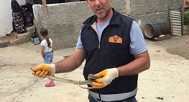 Eve giren yılanı itfaiye ekipleri yakaladı