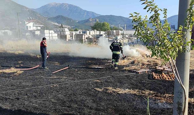 Fethiye&#039;de anız yangını panikletti