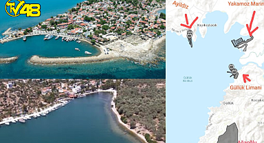 GÜLLÜK KÖRFEZİ YOK OLUYOR !