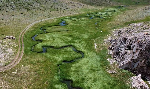 Her yerde yaz, orada bahar