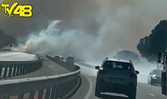 İzmir Bergama&#039;da çıkan yangın kontrol altına alındı