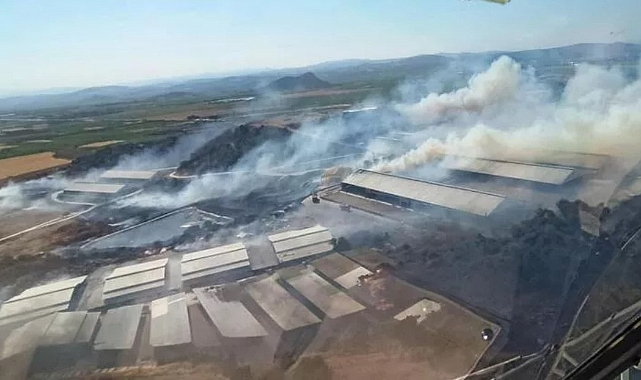 İzmir Bergama&#039;da makilik alanda yangın!