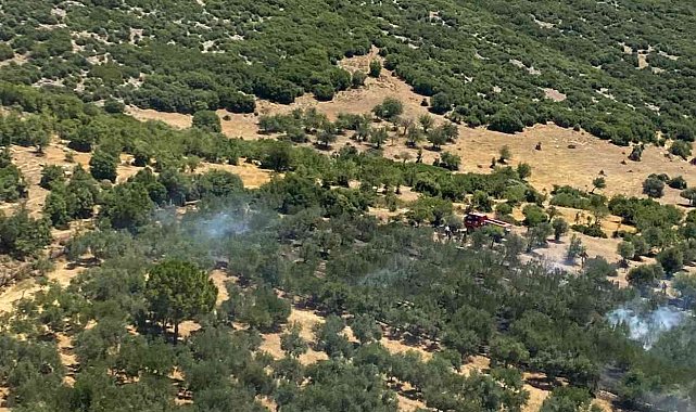 İzmir&#039;de yangın