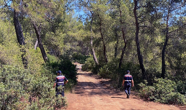 Jandarma orman nöbetinde