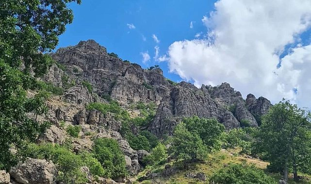 Kayalıklarda mahsur kalan vatandaş ekiplerce kurtarıldı