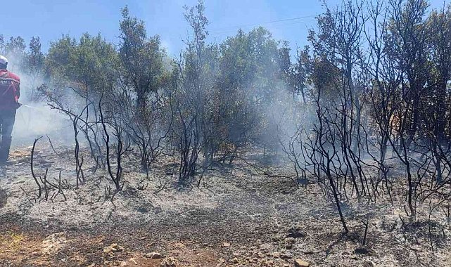 Kilis&#039;te çıkan orman yangını kısa sürede söndürüldü