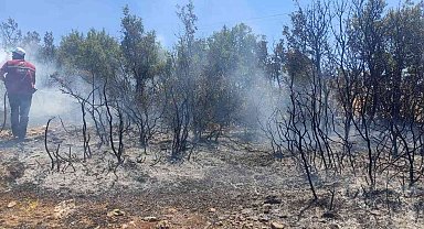 Kilis'te çıkan orman yangını kısa sürede söndürüldü