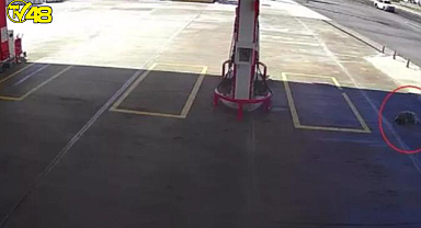 Köpeği ezmek için yolunu değiştirdi, 2 bin TL cezaya çarptırıldı !