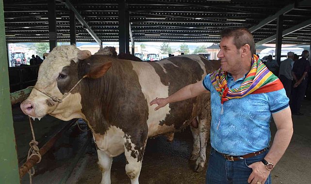 Kurban Bayramı öncesi kurbanlıklar görücüye çıktı