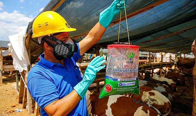 Kurban satış ve kesim noktaları ilaçlanıyor