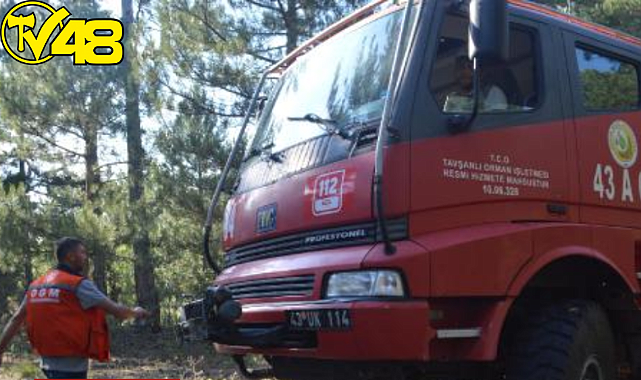 Kütahya&#039;da Orman Yangını
