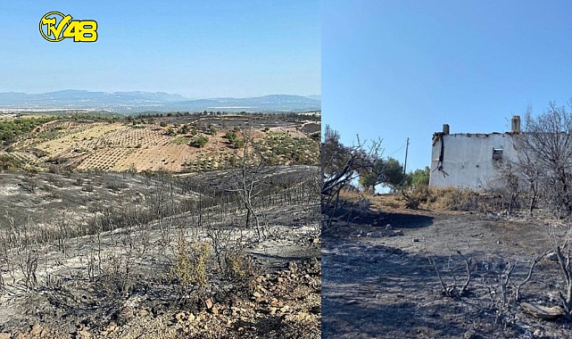 Manisa&#039;dan iyi haber geldi! Orman yangını 13,5 saat sonra kontrol altında.