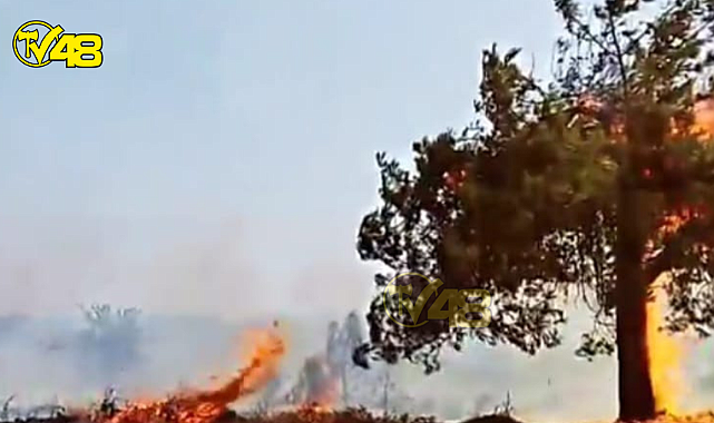 &#039;&#039; Milas&#039;ta Çıkan Yangın Trafo Kaynaklı Değil ! &#039;&#039;