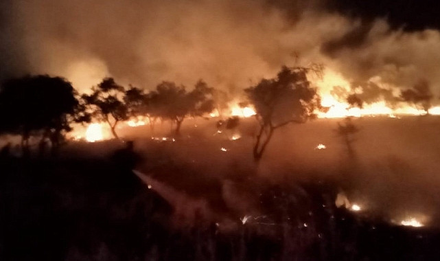 Milas&#039;ta Çıkan Yangının Sebebi Belli Oldu !