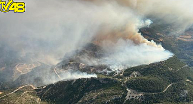 Milas'ta orman yangını