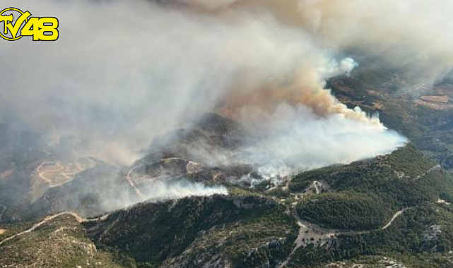 Milas&#039;ta orman yangını