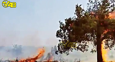 Milas'ta Trafodan Kaynaklı Yangın Yangın Çıktı