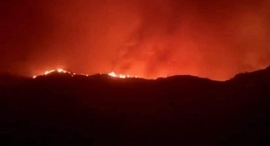 Muğla'nın Datça ilçesinde çıkan orman yangını sürüyor