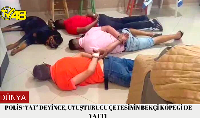 Polis ‘yat’ deyince, uyuşturucu çetesinin bekçi köpeği de yattı