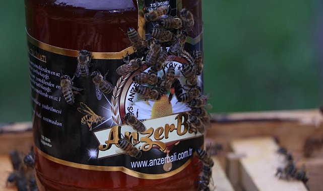 Rize&#039;nin dünyaca ünlü Anzer balı 2 bin TL oldu