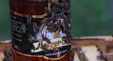 Rize'nin dünyaca ünlü Anzer balı 2 bin TL oldu