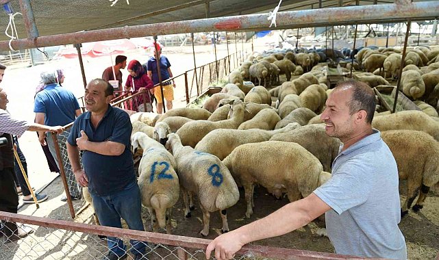 Seyhan&#039;da &quot;ücretsiz kurban kesim&quot; hizmeti