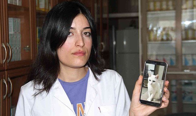 Sokak sokak aradığı kayıp kedisine sonunda kavuştu