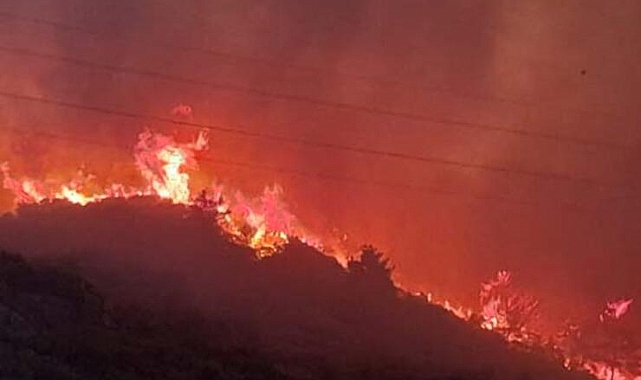 Söke&#039;de Orman Yangını...Söke’deki yangın rüzgarın etkisi ile büyüdü