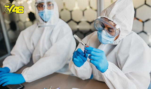 Son dakika; Bakan Koca Açıkladı !