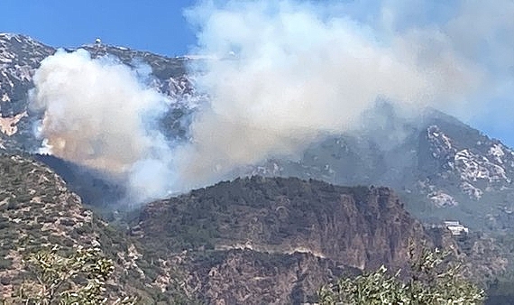 SON DAKİKA: DATÇA&#039;DA ORMAN YANGINI YERLEŞİM YERLERİNDE! Mesudiye mahallesinde evler tahliye ediliyor!