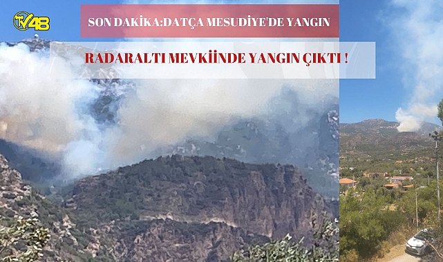 SON DAKİKA:DATÇA MESUDİYE RADAR ALTI MEVKİİNDE YANGIN !