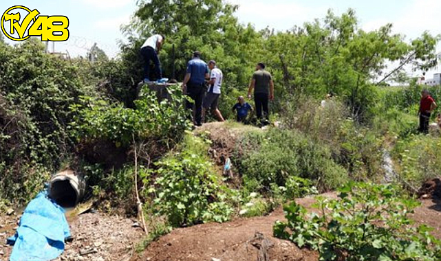 Tarlaya su gelmeyince fark ettiler! Sulama Borusunda Ceset Bulundu !