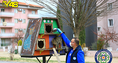 Tebrikler MBB; Hayvan Severlere Müjde
