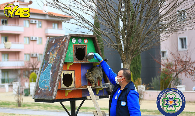 Tebrikler MBB; Hayvan Severlere Müjde
