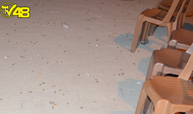 &#039;&#039; Tetiğe bir kez bastım, suçsuzum &quot; dedi Düğünde 4 bin boş kovan bulundu, 2 kişi öldü