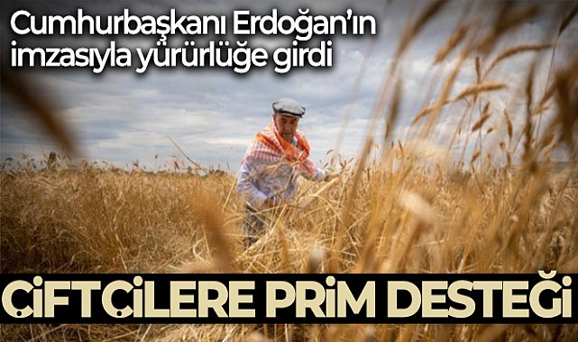 TMO alım pirimi desteğine ilişkin karar Resmi Gazete’de yayımlandı